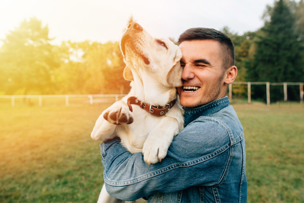 Passioni e fastidi dei nostri cani