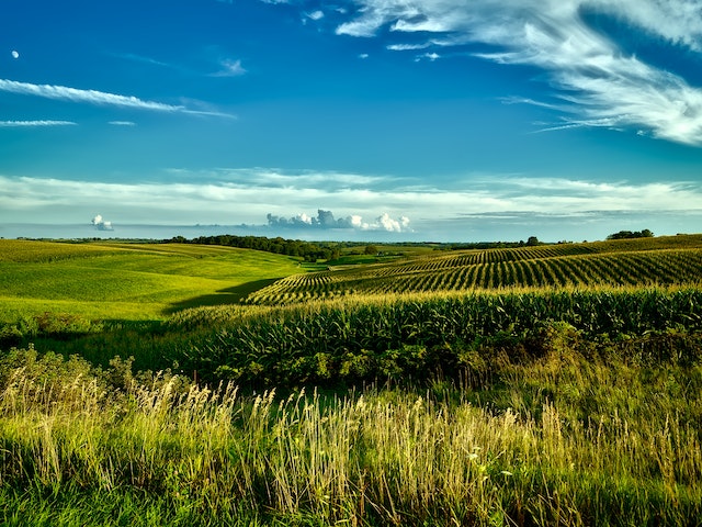 L’agricoltura biologica come rimedio al cambiamento climatico