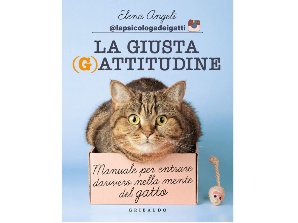 La giusta (g)attitudine