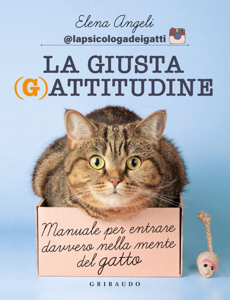 Manuale per entrare davvero nella mente del gatto.