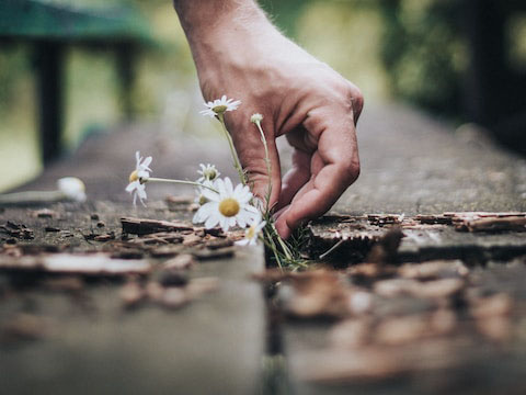 Agire e pensare positivo, per vincere l’ecoansia