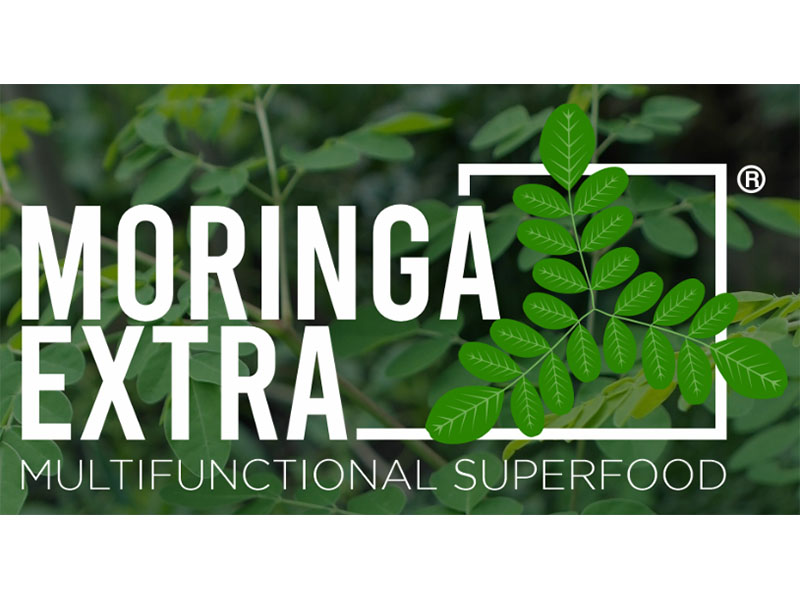 Moringa bio di Sardegna: la pianta dalle mille virtù