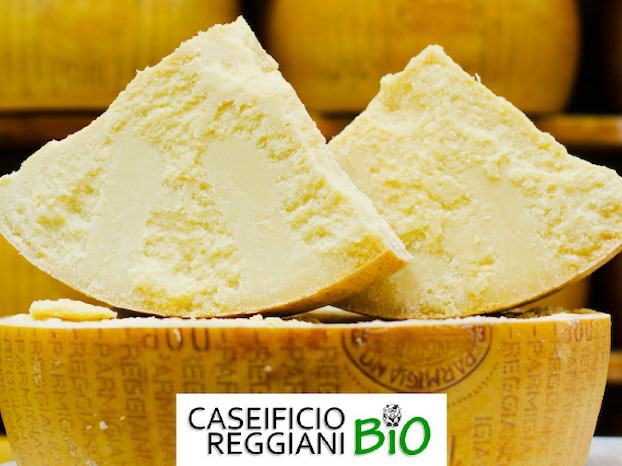 Parmigiano Reggiano BIO