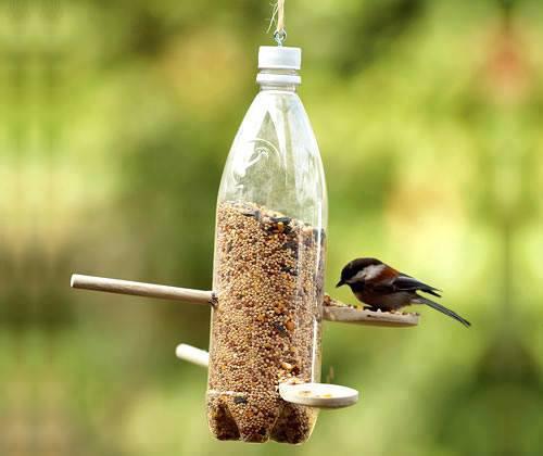 Mangiatoia per uccelli realizzata con materiale di recupero
