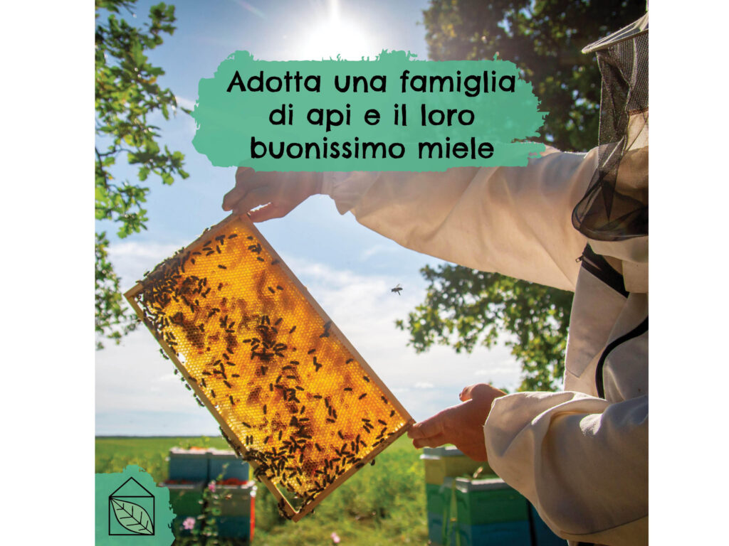 Adotta un'arnia COPAPS: 7 kg di miele biologico.