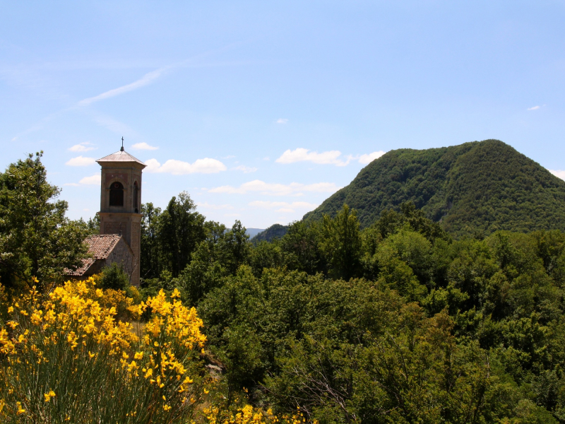 Trekking col treno