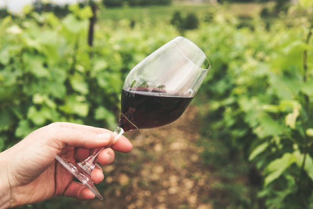 Agli italiani il vino piace biologico