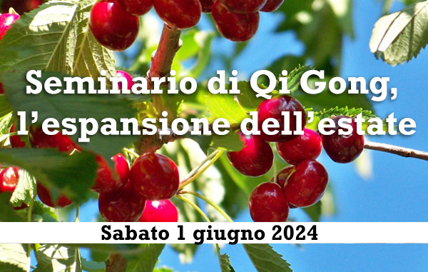 Qi Gong, l’espansione dell’estate Vivo Sostenibile