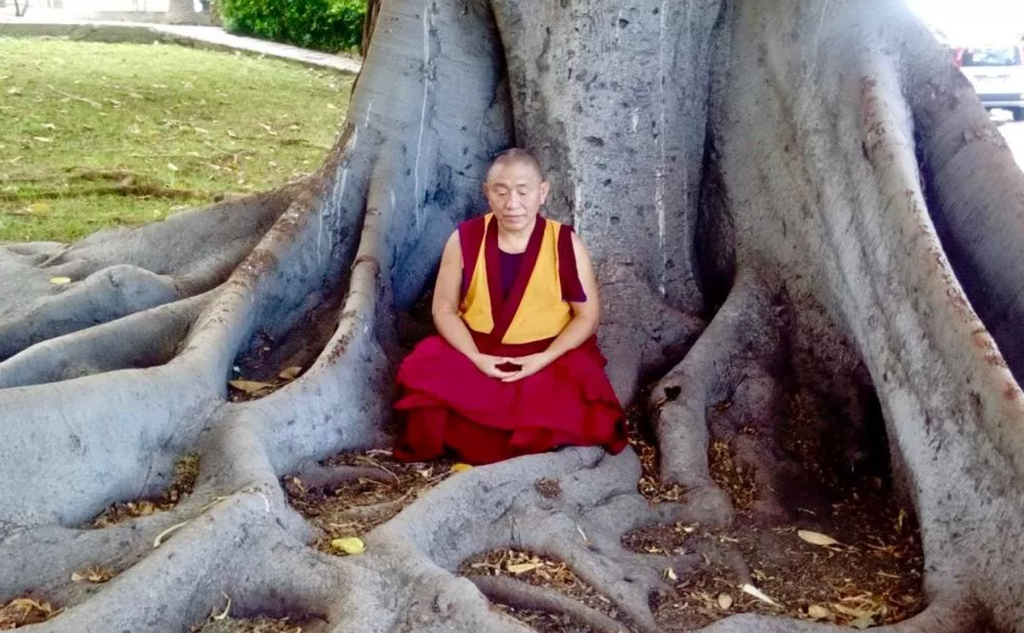 Medicina tradizionale tibetana e camminata meditativa in natura