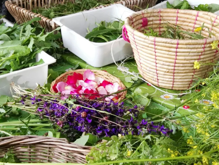 Distillare oli essenziali e acque aromatiche