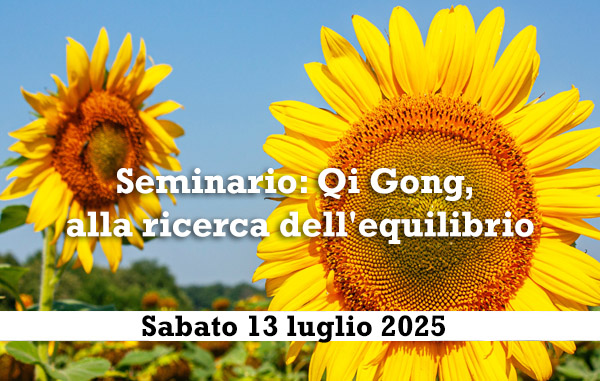Seminario: Qi Gong, alla ricerca dell’equilibrio