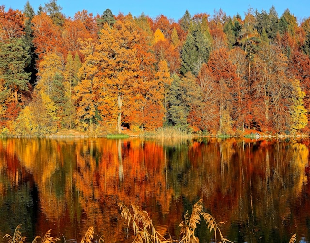 Autunno e ritmi
