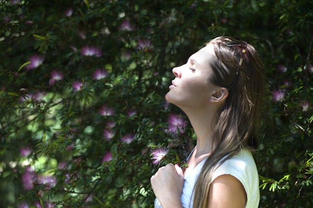 Meditazione e stress mediatico: quando la mente “medita” da sola