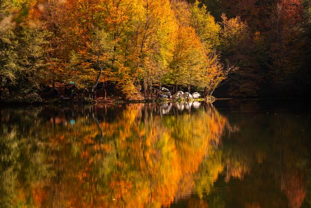 Il passo lento dell’autunno: quando l’Appennino insegna a ricominciare
