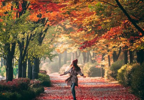 il foliage: lo spettacolo naturale di colori che ci fa bene